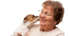 Is Owning a Pet Good for Your Heart? Picture of an elderly Caucasian woman holding a little dog.
