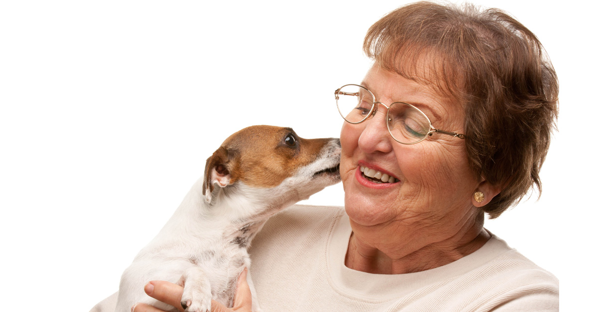 Is Owning a Pet Good for Your Heart? Picture of an elderly Caucasian woman holding a little dog.